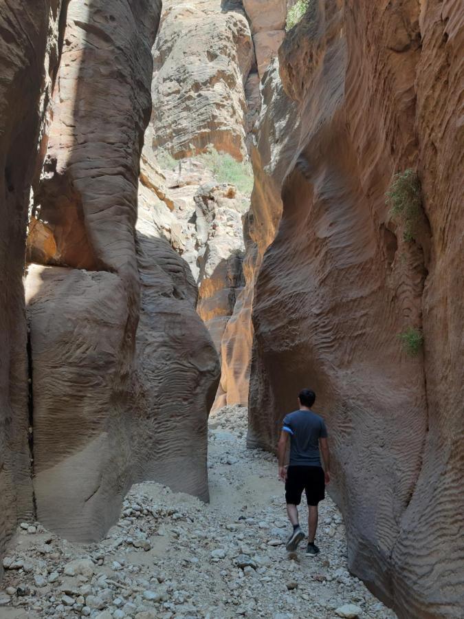 The Rock Camp Petra Hotel Wadi Musa Luaran gambar