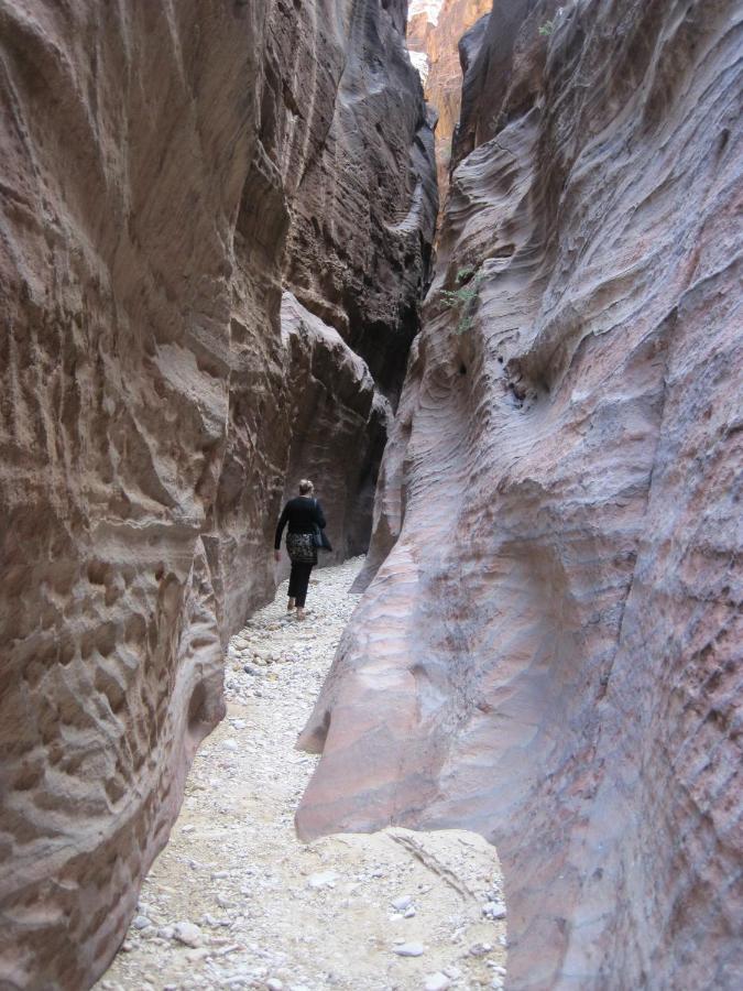 The Rock Camp Petra Hotel Wadi Musa Luaran gambar